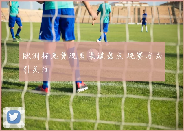 欧洲杯免费观看渠道盘点 观赛方式引关注