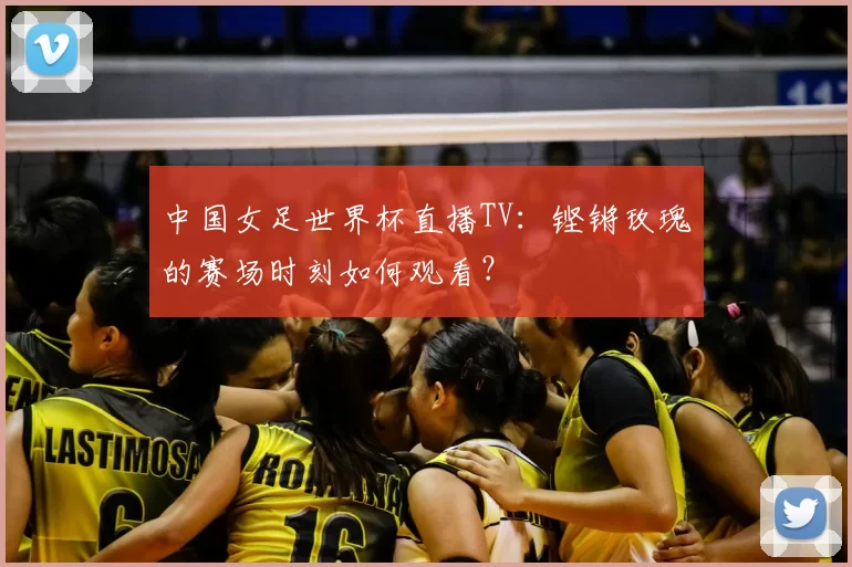 中国女足世界杯直播TV:铿锵玫瑰的赛场时刻如何观看?