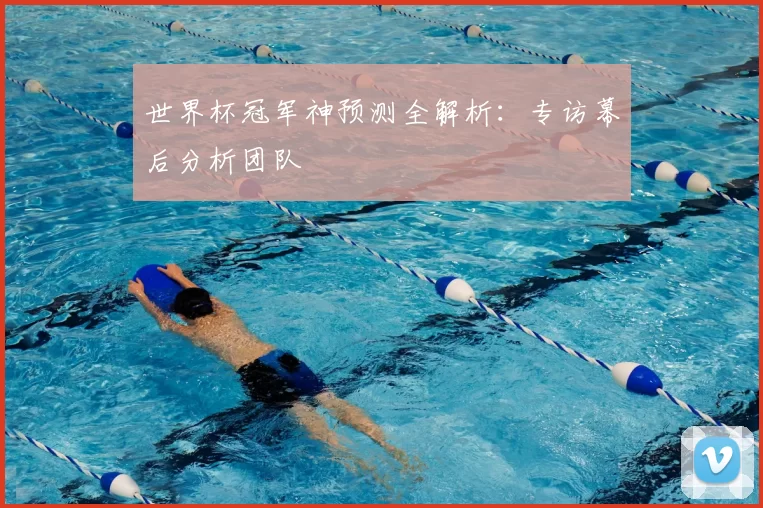 世界杯冠军神预测全解析：专访幕后分析团队