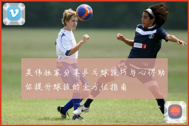吴伟独家分享乒乓球技巧与心得助你提升球技的全方位指南
