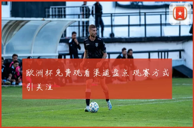 欧洲杯免费观看渠道盘点 观赛方式引关注