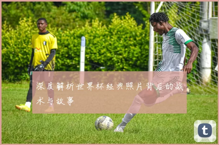 深度解析世界杯经典照片背后的战术与故事