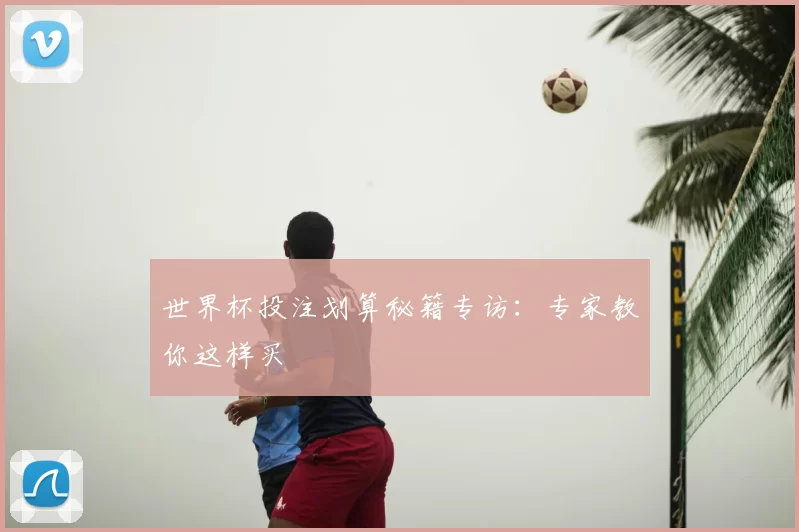 世界杯投注划算秘籍专访：专家教你这样买