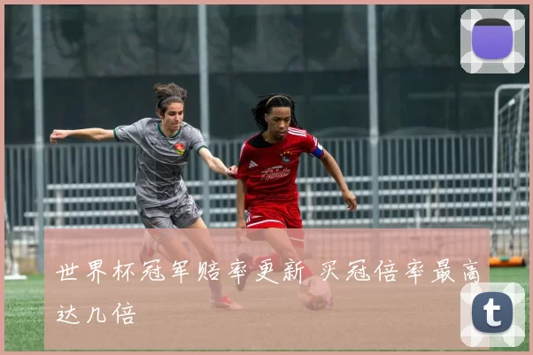 世界杯冠军赔率更新 买冠倍率最高达几倍