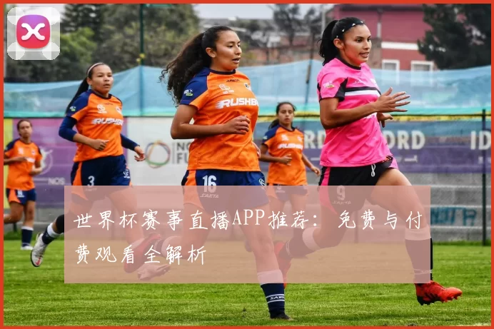 世界杯赛事直播APP推荐:免费与付费观看全解析