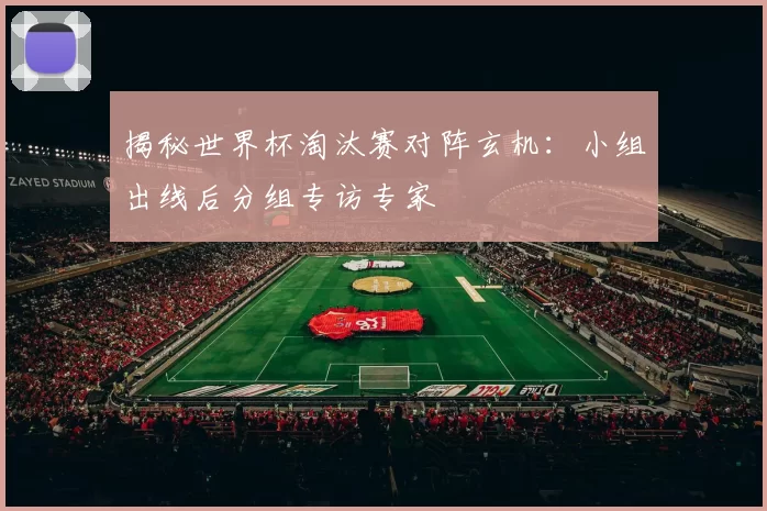 揭秘世界杯淘汰赛对阵玄机：小组出线后分组专访专家