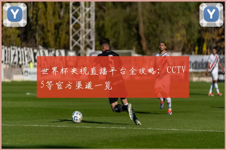 世界杯央视直播平台全攻略：CCTV5等官方渠道一览