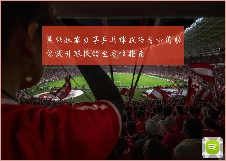 吴伟独家分享乒乓球技巧与心得助你提升球技的全方位指南