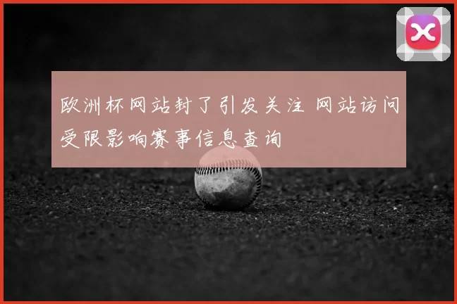 欧洲杯网站封了引发关注 网站访问受限影响赛事信息查询