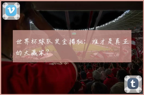 世界杯球队奖金揭秘：谁才是真正的大赢家？